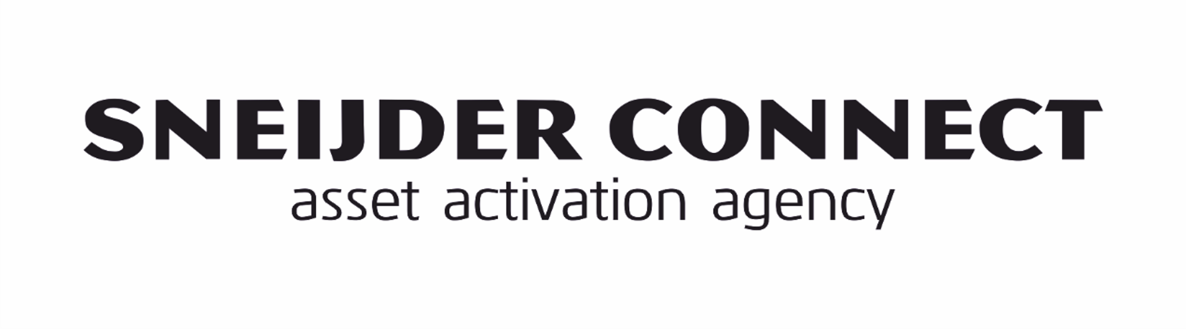 Sneijder Connect Logo